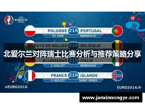 北爱尔兰对阵瑞士比赛分析与推荐策略分享