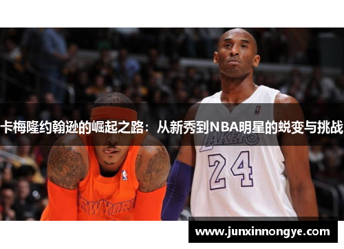 卡梅隆约翰逊的崛起之路：从新秀到NBA明星的蜕变与挑战