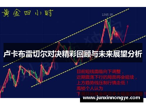 卢卡布雷切尔对决精彩回顾与未来展望分析