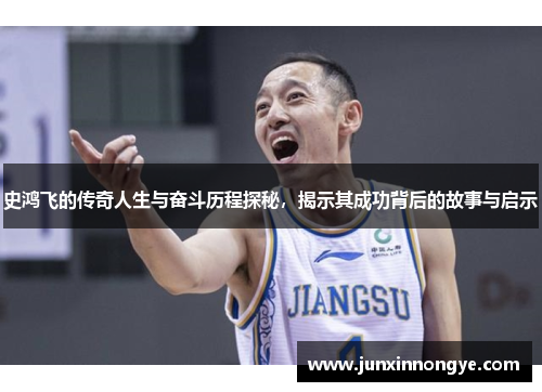 史鸿飞的传奇人生与奋斗历程探秘，揭示其成功背后的故事与启示