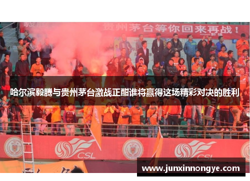 哈尔滨毅腾与贵州茅台激战正酣谁将赢得这场精彩对决的胜利