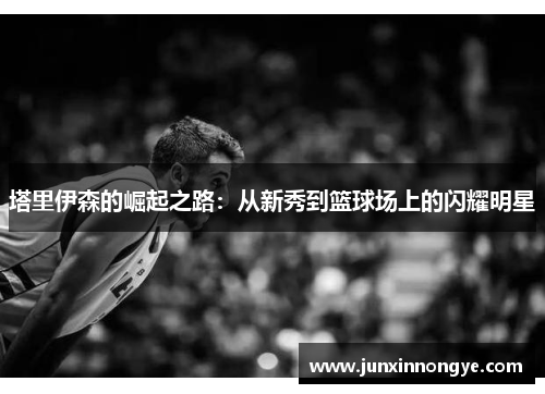 塔里伊森的崛起之路：从新秀到篮球场上的闪耀明星