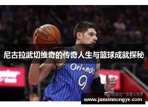 尼古拉武切维奇的传奇人生与篮球成就探秘