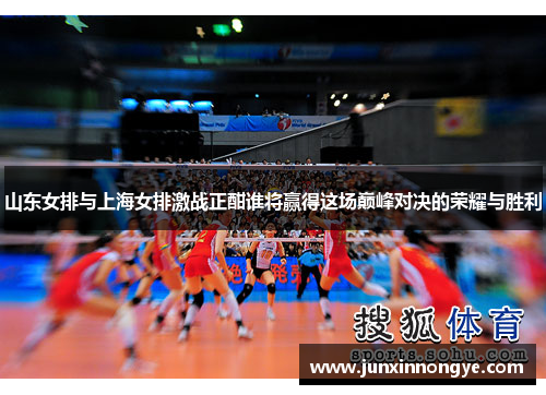 山东女排与上海女排激战正酣谁将赢得这场巅峰对决的荣耀与胜利