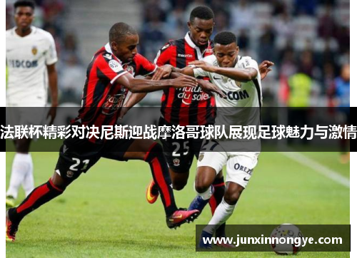 法联杯精彩对决尼斯迎战摩洛哥球队展现足球魅力与激情